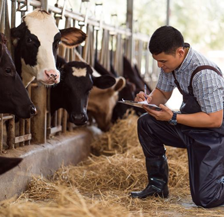 Farm manager reviewing records in a green field