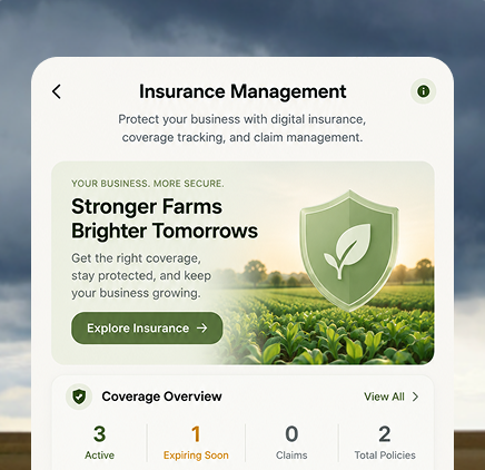 Advisor reviewing an insurance policy with a client